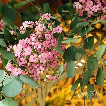 邛崃天府红谷·耕读桃源酒店提供图片