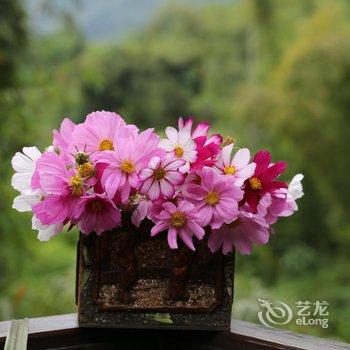 邛崃天府红谷·耕读桃源酒店提供图片