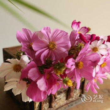 邛崃天府红谷·耕读桃源酒店提供图片