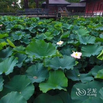 成都应龙湾澜岸酒店酒店提供图片