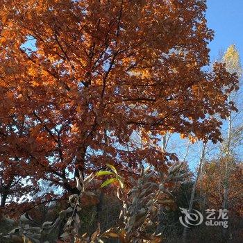 北京王永珍农家院酒店提供图片