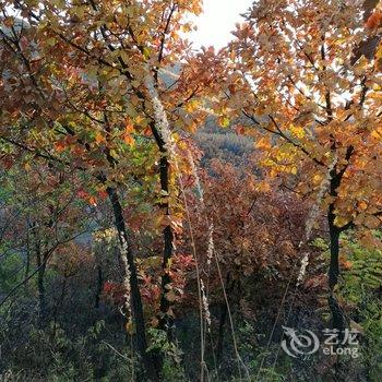 北京王永珍农家院酒店提供图片