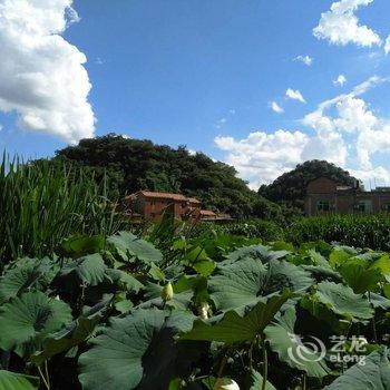 普者黑停云山居客栈酒店提供图片