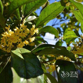 和顺久缘居客栈酒店提供图片