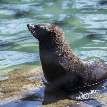 陵水分界洲岛海钓会所酒店提供图片