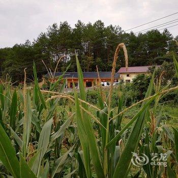 宁国山里山外生态农庄农家乐酒店提供图片