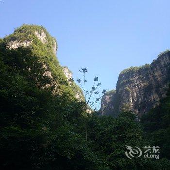 恩施临凤阁山庄酒店提供图片