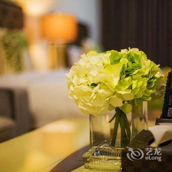 佰合精选国际度假公寓(广州新白云机场店)酒店提供图片