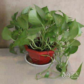 西安南门亚米酒店公寓酒店提供图片