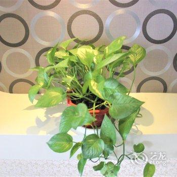 西安南门亚米酒店公寓酒店提供图片