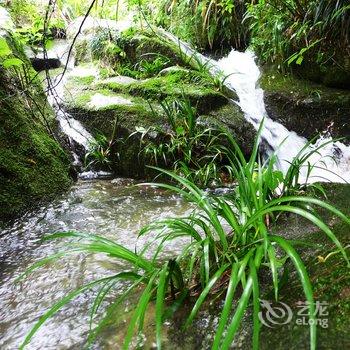 衡阳南山岚民宿酒店提供图片