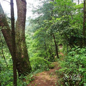 衡阳南山岚民宿酒店提供图片