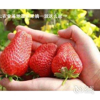 厦门华闽大云房车体验度假营酒店提供图片