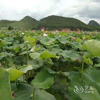 普者黑馨然农家酒店提供图片