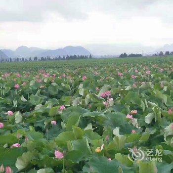 普者黑馨然农家酒店提供图片