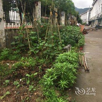 缙云仙都开心麻花民宿酒店提供图片