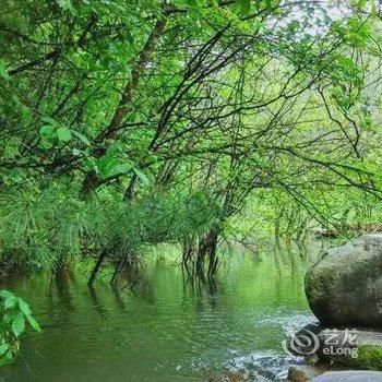 留坝雅润聚茶文化客栈酒店提供图片