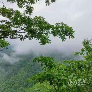 留坝雅润聚茶文化客栈酒店提供图片