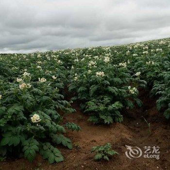 沽源天鹅湖山水农家酒店提供图片