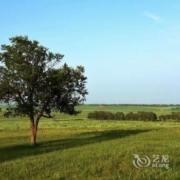 沽源天鹅湖山水农家酒店提供图片