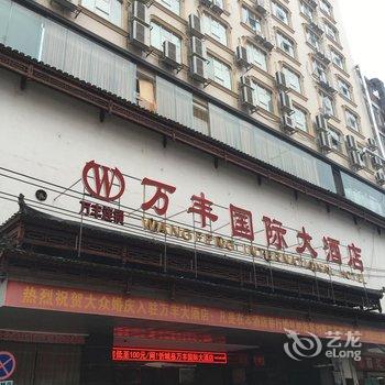 忻城万丰国际大酒店酒店提供图片