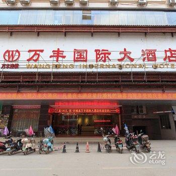 忻城万丰国际大酒店酒店提供图片