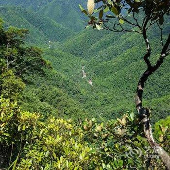 株洲杜鹃花海农家乐酒店提供图片