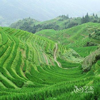 桂林龙胜龙脊国际青年旅舍酒店提供图片