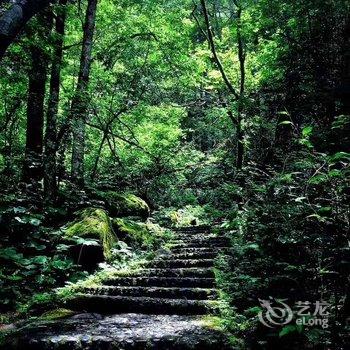 神农架金宾大酒店酒店提供图片