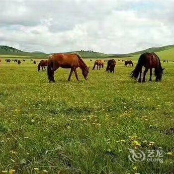 承德坝上草原欣欣茹苑农家院酒店提供图片