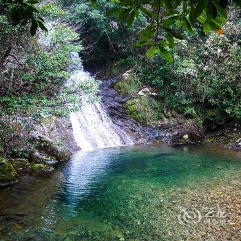 仙居乡间小憩民宿酒店提供图片