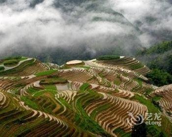 桂林龙胜龙脊国际青年旅舍酒店提供图片