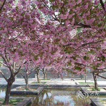优瑞商旅酒店(西安交大南二环铁一中店)酒店提供图片