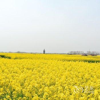 兴化菜花旅馆酒店提供图片