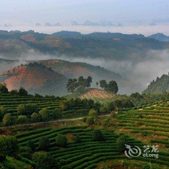 阳朔翠羽茶苑(原阳朔七仙峰茶观园景区酒店)酒店提供图片