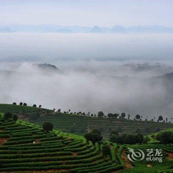 阳朔翠羽茶苑(原阳朔七仙峰茶观园景区酒店)酒店提供图片