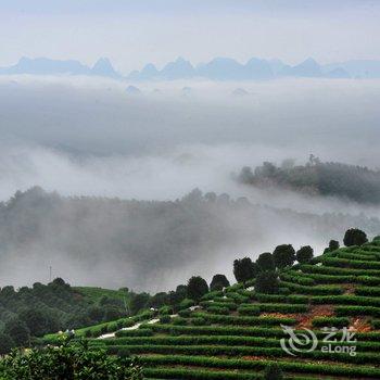 阳朔翠羽茶苑(原阳朔七仙峰茶观园景区酒店)酒店提供图片