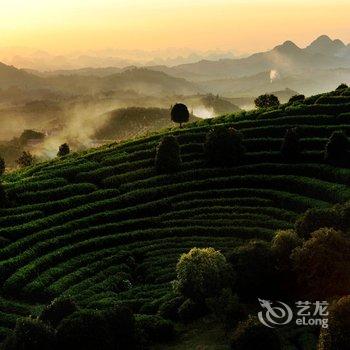 阳朔翠羽茶苑(原阳朔七仙峰茶观园景区酒店)酒店提供图片