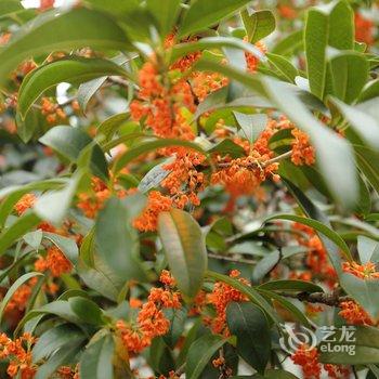 桂林未见雨江景客栈酒店提供图片