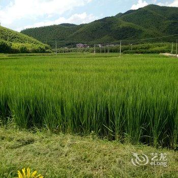 莫干山平月居客栈酒店提供图片