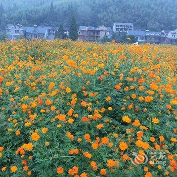 莫干山平月居客栈酒店提供图片