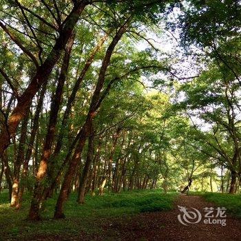 西溪南后街伍号客栈酒店提供图片