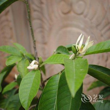 桂林未见雨江景客栈酒店提供图片