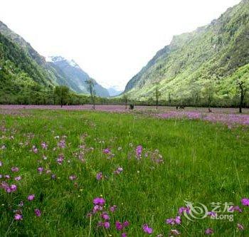 小金古月山庄酒店提供图片