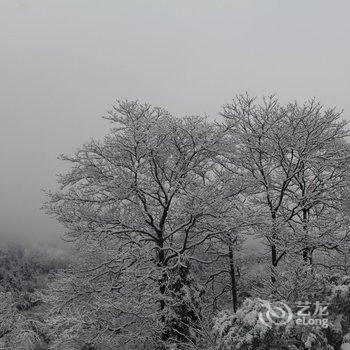 张家界玻璃屋精品民宿酒店提供图片