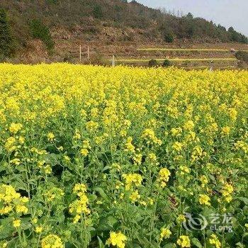 婺源江岭河东客栈酒店提供图片