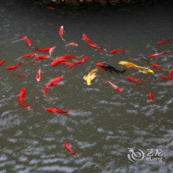 莫干山梦溪彼潭酒店提供图片