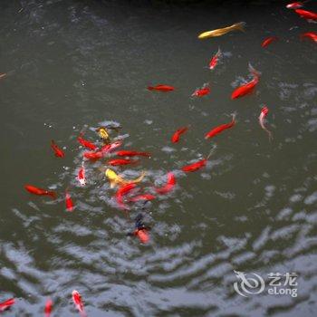 莫干山梦溪彼潭酒店提供图片