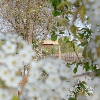 敦煌吴家大院私房菜客栈酒店提供图片