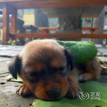 平遥浪迹国际青年旅舍酒店提供图片